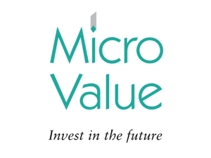 Micro Value Logo