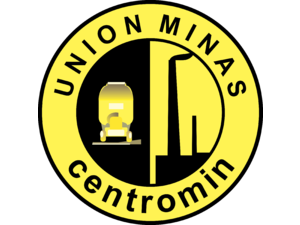 MINAS Logo