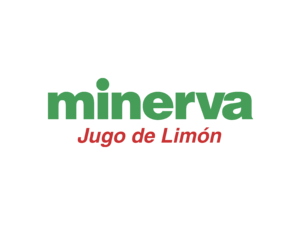 Minerva Logo