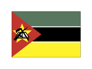 Mozambiq Logo