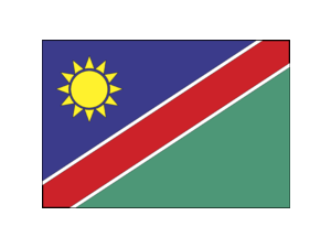Namibia Logo