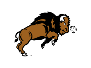 NDSU Bison Logo