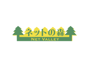 Net Valley Logo