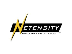 Netensity Logo