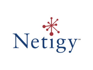 Netigy Logo