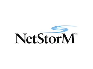 NetStorM Logo