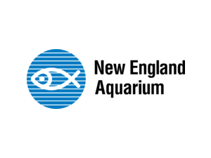 New England Aquarium Logo