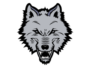 New England Sea Wolves Logo