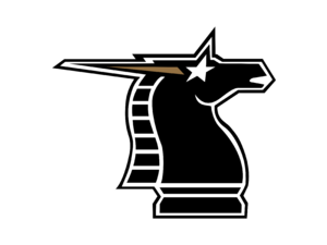 New York New Jersey Knights Logo