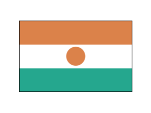 Niger Logo