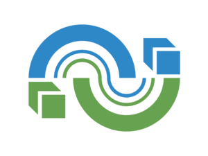 NIIS Logo