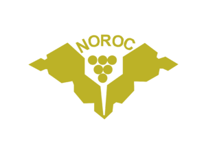 Noroc Moldova Logo