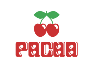 Pacha Logo