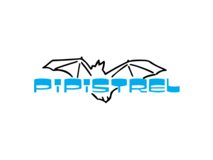 Pipistrel Logo