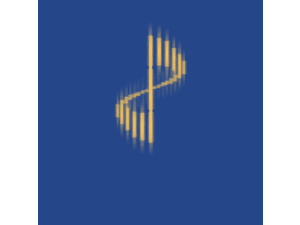 Pliant Systems Logo