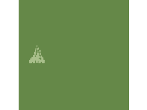 Population Action International Logo