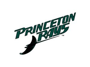 Princeton Devil Rays Logo