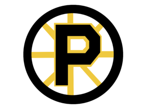 Providence Bruins Logo