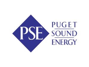 PSE Logo