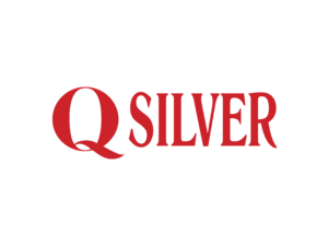 Q Silver Logo