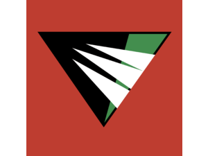 Raliegh Durham Skyhawks Logo