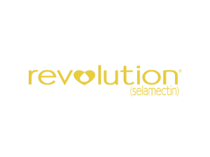 Revolution Logo