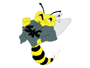 Sacramento State Hornets Logo