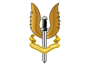 SAS Logo