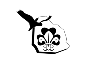 Scouting Emmeloord Logo