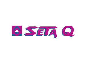 Seta Q Logo