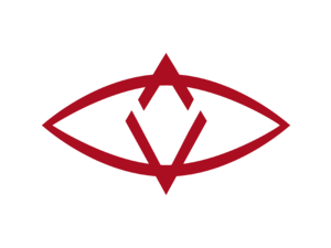 SingularDTV (SNGLS) Logo