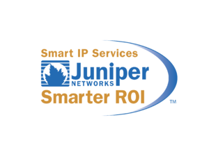 Smart IP Services Smarter ROI Logo