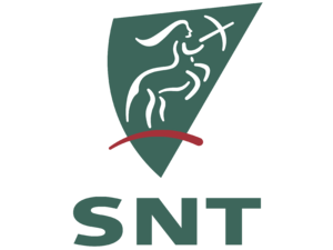 SNT Group Logo
