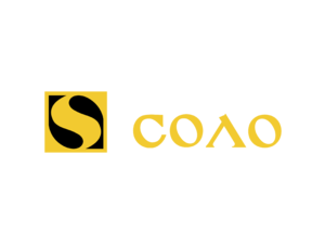 Solo Logo