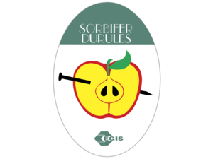 Sorbifer Durules Logo