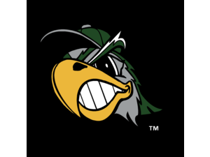 South Bend Silver Hawks Logo