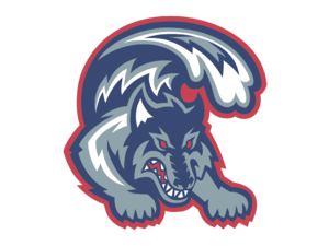 Stony Brook Seawolves Logo