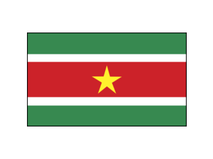 Surinamc Logo