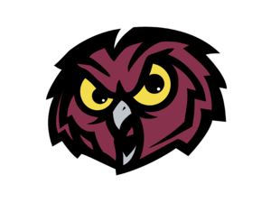 Temple Owls Logo