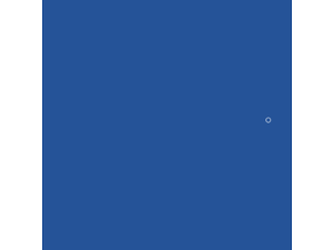 The Mills Corporation Logo