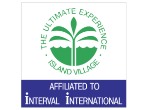 The Ultimate Experience Logo