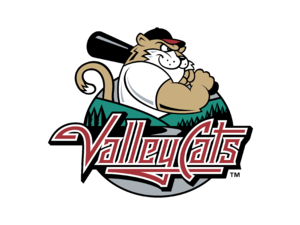 Tri City ValleyCats Logo