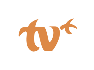 TV Plus Logo