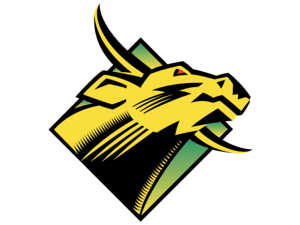 USF Bulls Logo