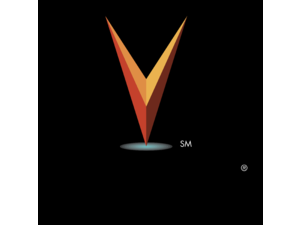 VerticalNet Logo