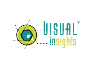 Visual Insights Logo