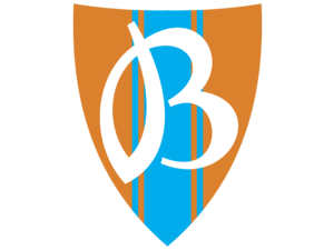 Vityaz Logo
