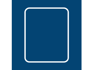 W B Saunders Logo