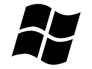 Windows flag Logo