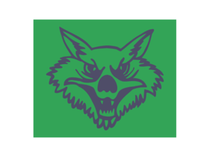 Wolf Flying Group Logo